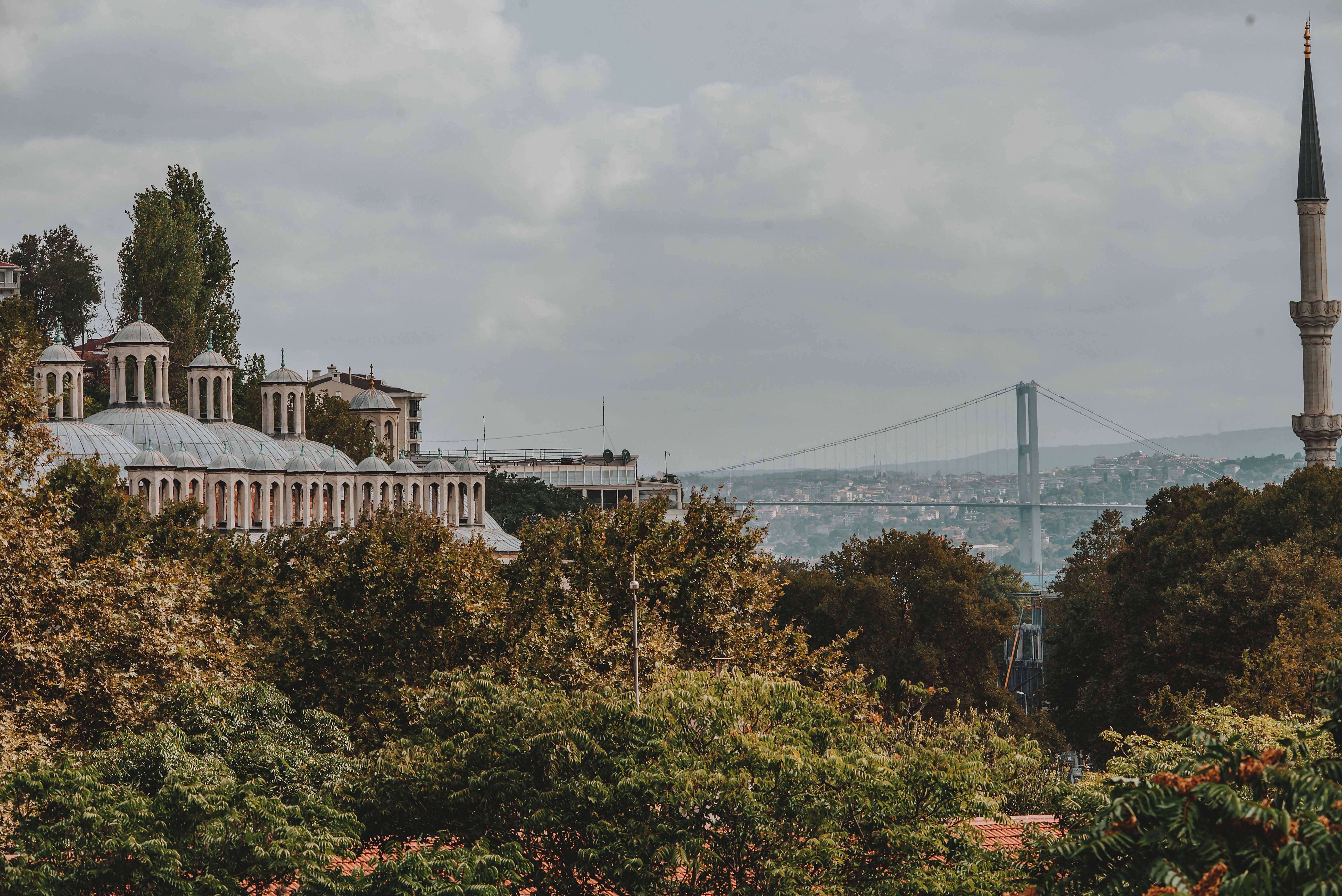 Selvese Collection Galata 1875